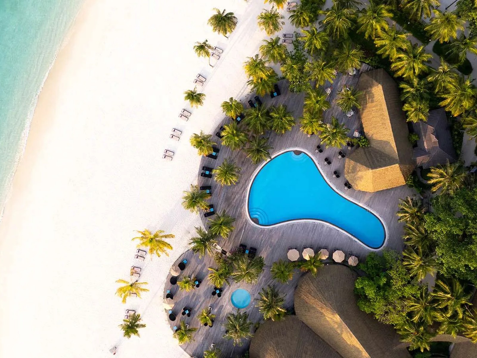 Luxury tropical holiday experience with Nelum Holidays